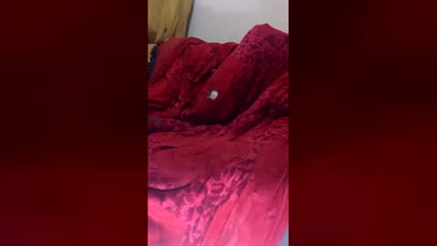 dandeb online show from 3, 6, 2026