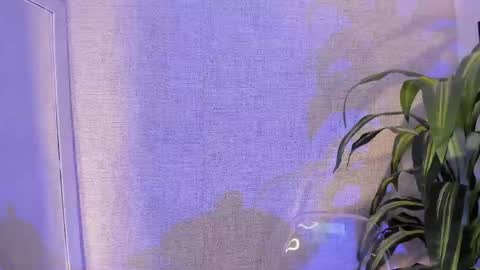 Danna Ortega online show from 28, 4, 2026