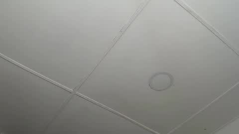 dannaberlin_0 online show from 12, 2, 2025