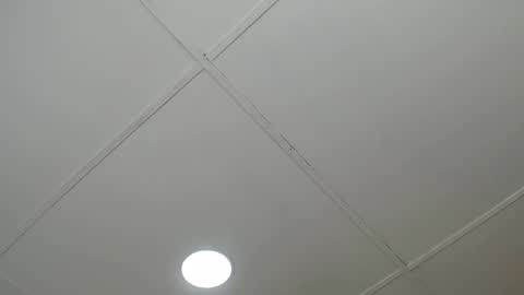 dannaberlin_0 online show from 8, 3, 2025