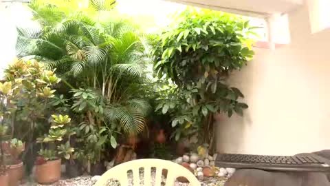 Snapshot of dannadoll69 chatting on 12, 10, 2025 Dannamunoz130 online show from 12, 10, 2025