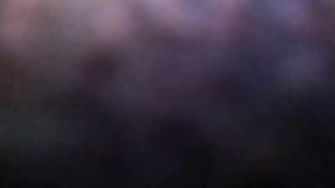 dannowisc online show from 23, 2, 2026