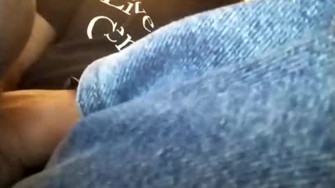 dannowisc online show from 24, 2, 2026