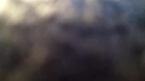 dannowisc online show from 1, 3, 2026