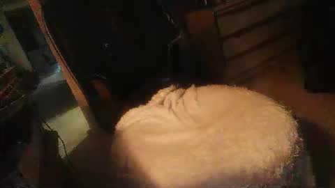 Danielle online show from 16, 4, 2026