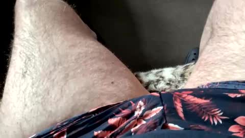 Dano B online show from 28, 3, 2026