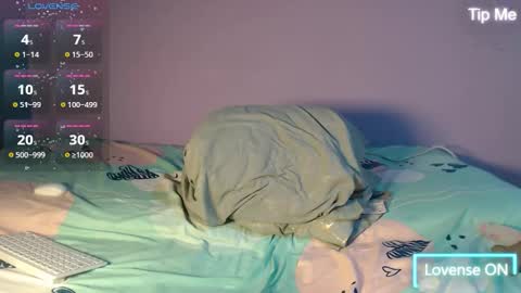 dante_bear online show from 22, 11, 2025