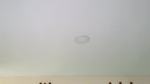 Dante online show from 13, 2, 2025