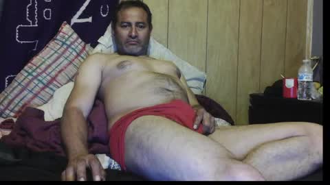 dantehot2020 online show from 28, 3, 2026