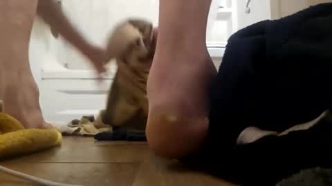 danydevil online show from 25, 11, 2025