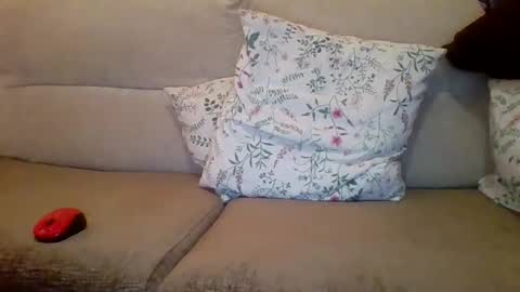 danydotado online show from 21, 12, 2024