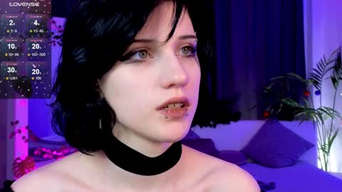 Vamp  online show from 26, 12, 2024