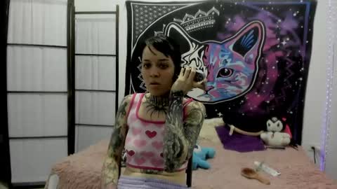 daryimiau online show from 11, 4, 2026