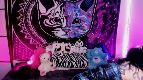 daryimiau online show from 18, 5, 2026
