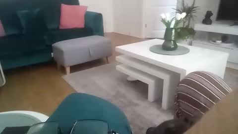 davf76 online show from 20, 4, 2026