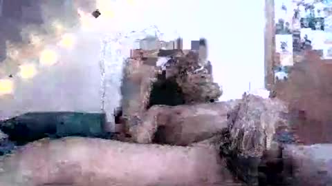 Snapshot of david69992347976413 chatting on 16, 2, 2025 David Berry online show from 16, 2, 2025