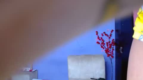 Noha online show from 13, 9, 2025