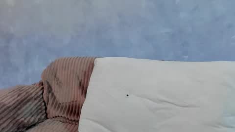 David online show from 21, 2, 2026