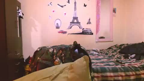 dayanna_01_ online show from 28, 7, 2026