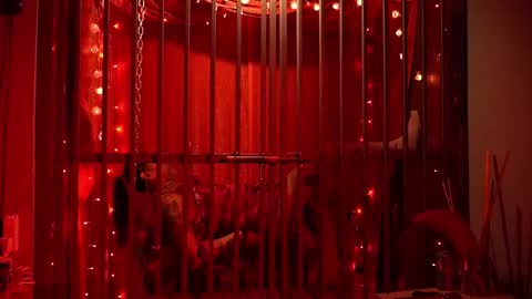 Snapshot of ddevourskitty chatting on 15, 2, 2026 D Devours Kitty online show from 15, 2, 2026