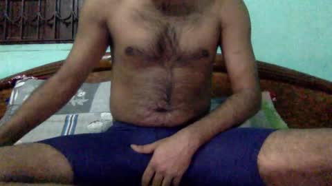 Haddock 07 online show from 1, 2, 2025