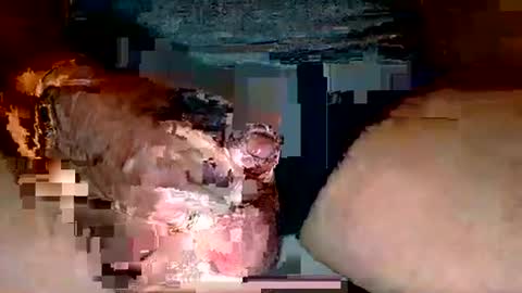 Snapshot of deepdiver3366 chatting on 2, 12, 2025 Dive Deep online show from 2, 12, 2025