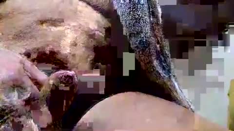 Snapshot of deepdiver3366 chatting on 15, 12, 2025 Dive Deep online show from 15, 12, 2025