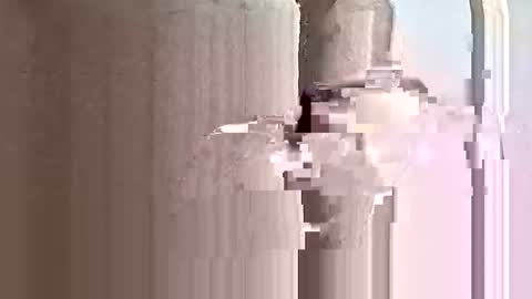 Snapshot of deezy305 chatting on 31, 5, 2026 deezy305 online show from 31, 5, 2026