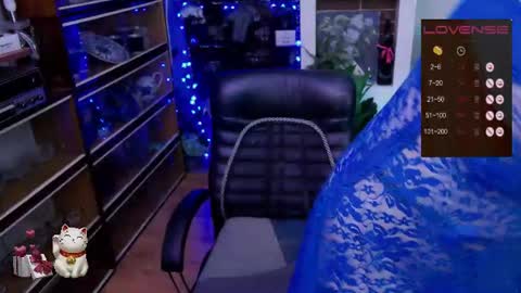 Delicacat online show from 26, 6, 2026