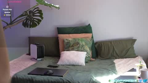 Kitty online show from 24, 4, 2026