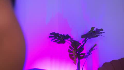 denisedevilles online show from 27, 4, 2026