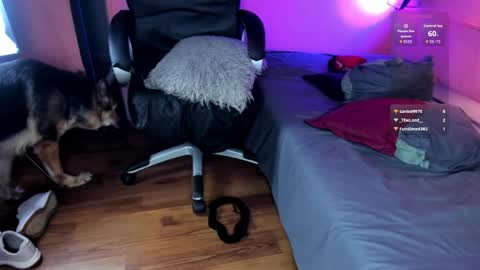 NTMY guys im a kinda desi from Medellin  online show from 24, 4, 2026