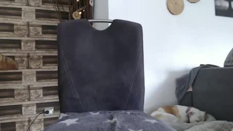 despotar123 online show from 7, 10, 2025