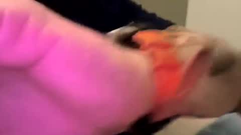 dgoodwin477 online show from 12, 1, 2026