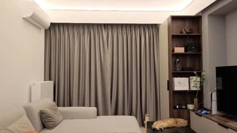 Iris online show from 13, 12, 2025