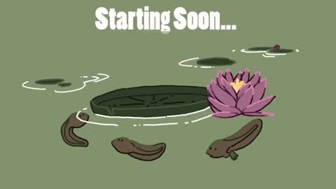 diana online show from 14, 12, 2024