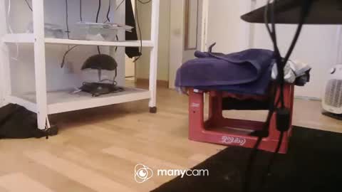 Snapshot of dickerpenis2025 chatting on 17, 12, 2025 Kevin S. online show from 17, 12, 2025