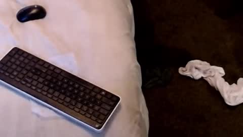 Sparkx online show from 22, 12, 2025