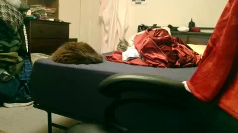 Snapshot of dicksmith99 chatting on 15, 2, 2026 Steve online show from 15, 2, 2026