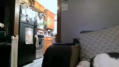 Snapshot of dickwack4u chatting on 4, 1, 2025 dickwack4u online show from 4, 1, 2025