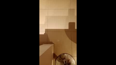 Snapshot of diegomoreno19 chatting on 21, 2, 2026 Diego online show from 21, 2, 2026