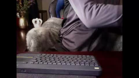 The Digital Pimp.... online show from 3, 5, 2026