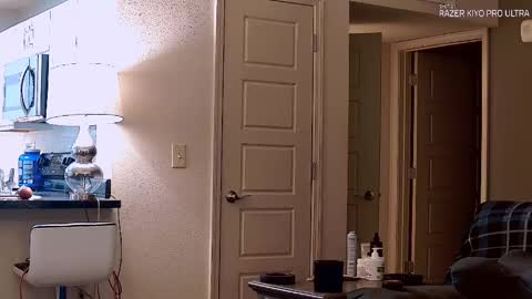 Dilldough405 online show from 21, 9, 2025