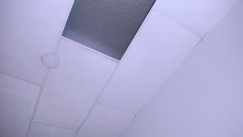 DINA online show from 24, 12, 2024