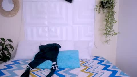 DINA online show from 23, 4, 2026