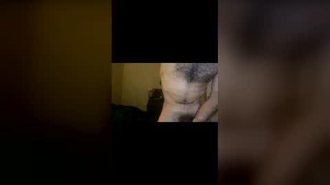 Snapshot of dinglerdingler chatting on 12, 2, 2026 Dingler online show from 12, 2, 2026