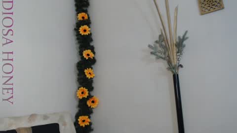 Diosa online show from 29, 1, 2025