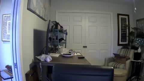 DirtkPitt Fun guy working online show from 4, 1, 2025