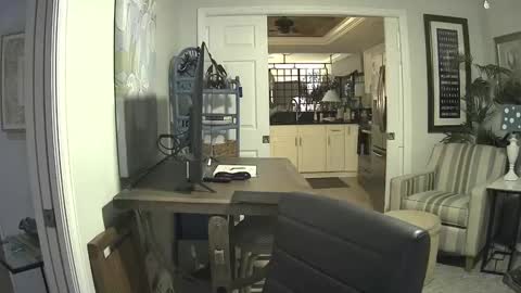 DirtkPitt Fun guy working online show from 9, 2, 2025