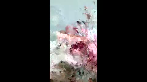 Mejustme online show from 4, 6, 2026